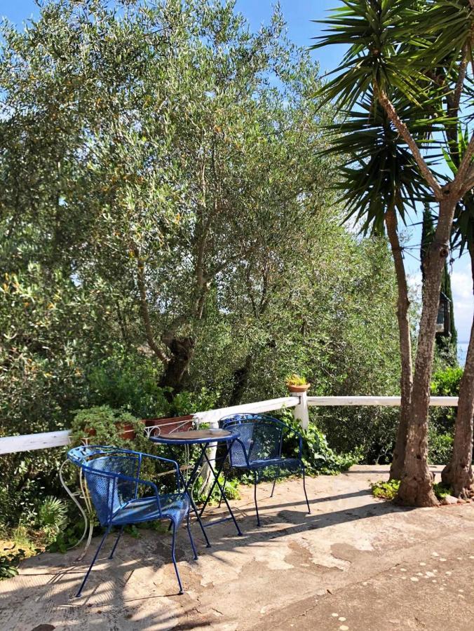 Cottage Pura Vigna Immerso Nella Natura Vicino Al Mare Porto Santo Stefano  Luaran gambar