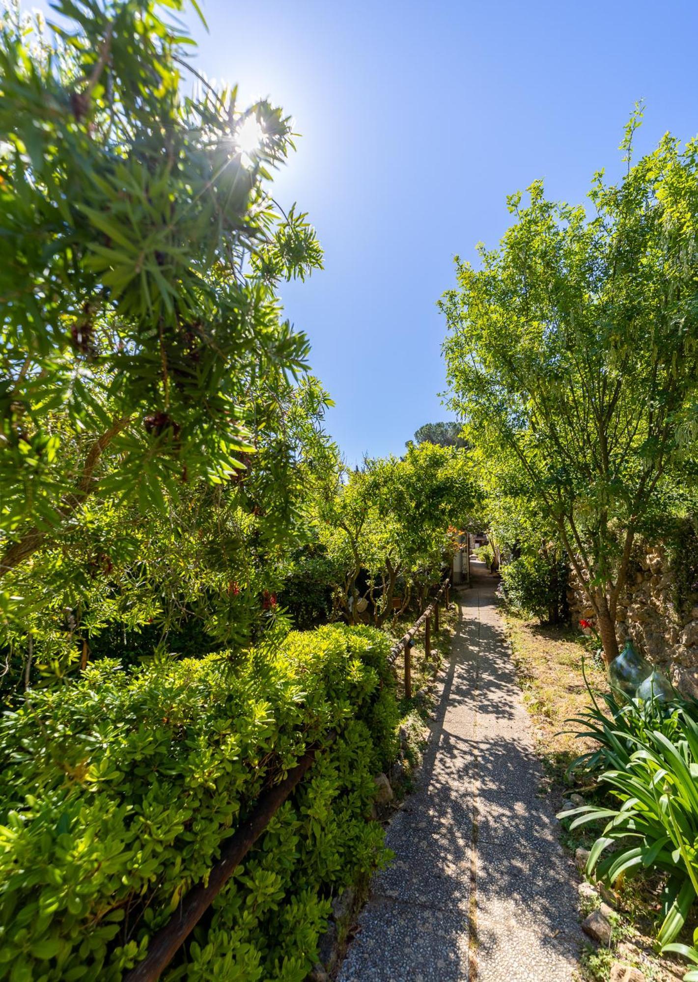 Cottage Pura Vigna Immerso Nella Natura Vicino Al Mare Porto Santo Stefano  Luaran gambar