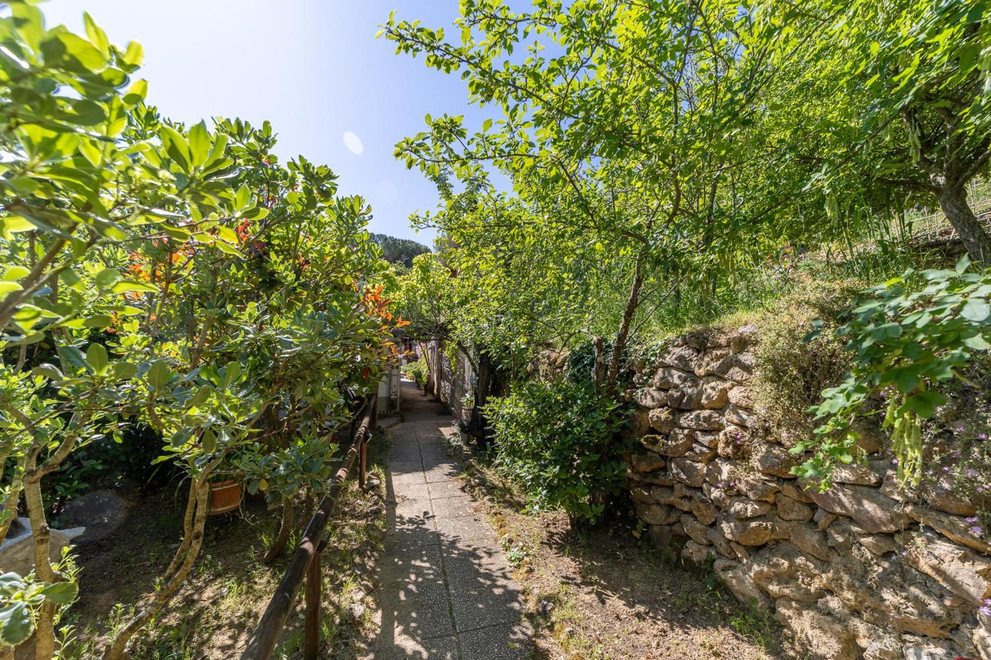 Cottage Pura Vigna Immerso Nella Natura Vicino Al Mare Porto Santo Stefano  Luaran gambar