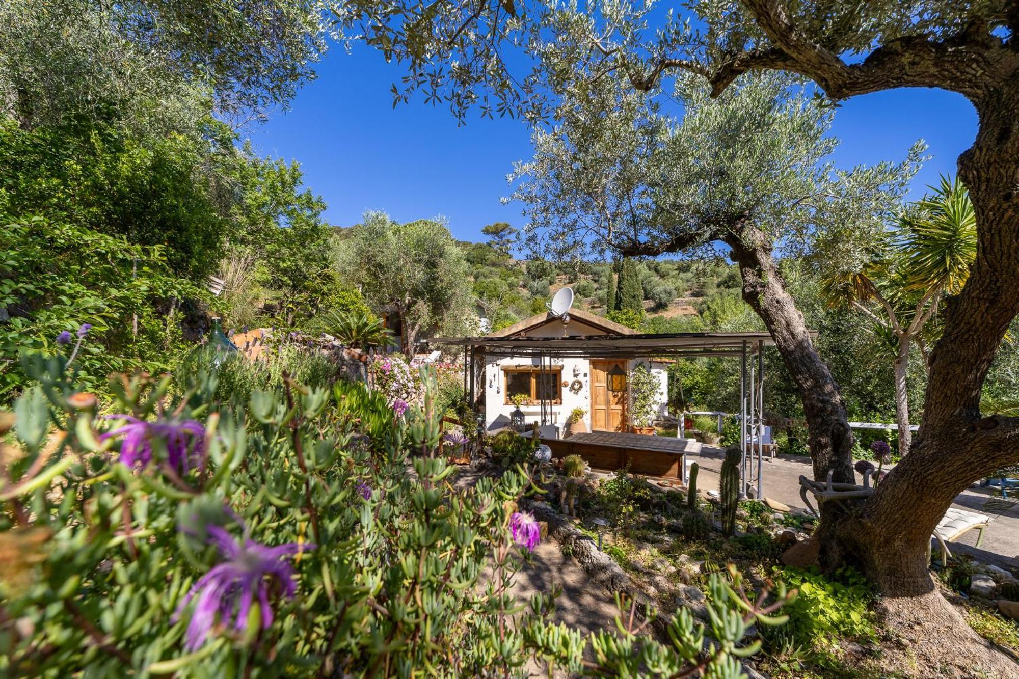 Cottage Pura Vigna Immerso Nella Natura Vicino Al Mare Porto Santo Stefano  Luaran gambar