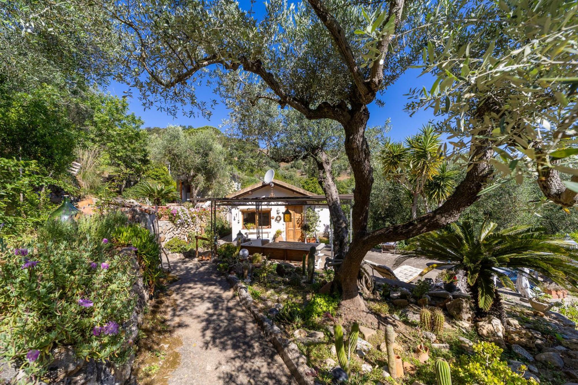 Cottage Pura Vigna Immerso Nella Natura Vicino Al Mare Porto Santo Stefano  Luaran gambar